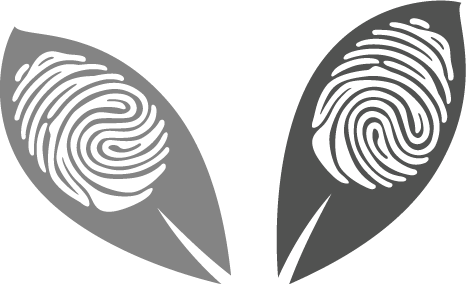 Consilio Partnership Leaves Logo